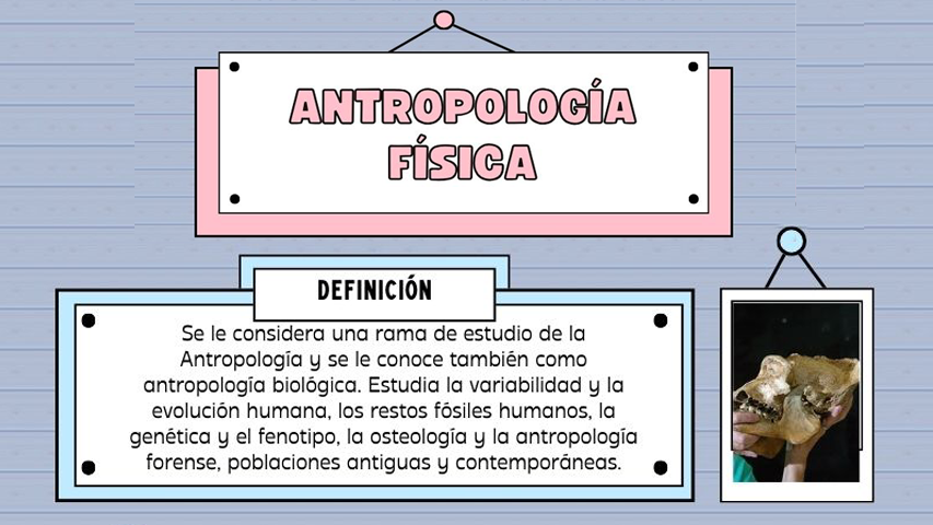 Imagen 9